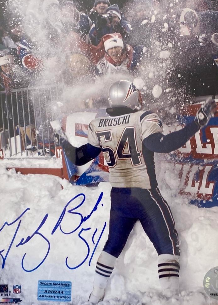 Tedy Bruschi Signed 8x10 Photo New England Patriots -Sports Treasures COA